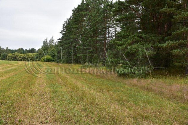 Продажа земельного массива Грибное