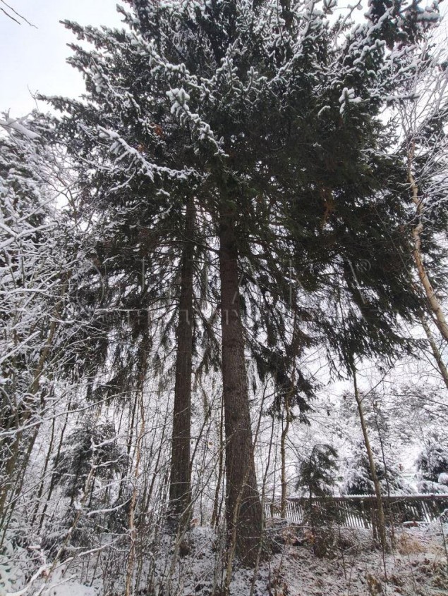 Продажа земельного участка Бригадное