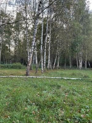 Продажа земельного участка Ногинск, Колонтаево, Новая Слобода, 16