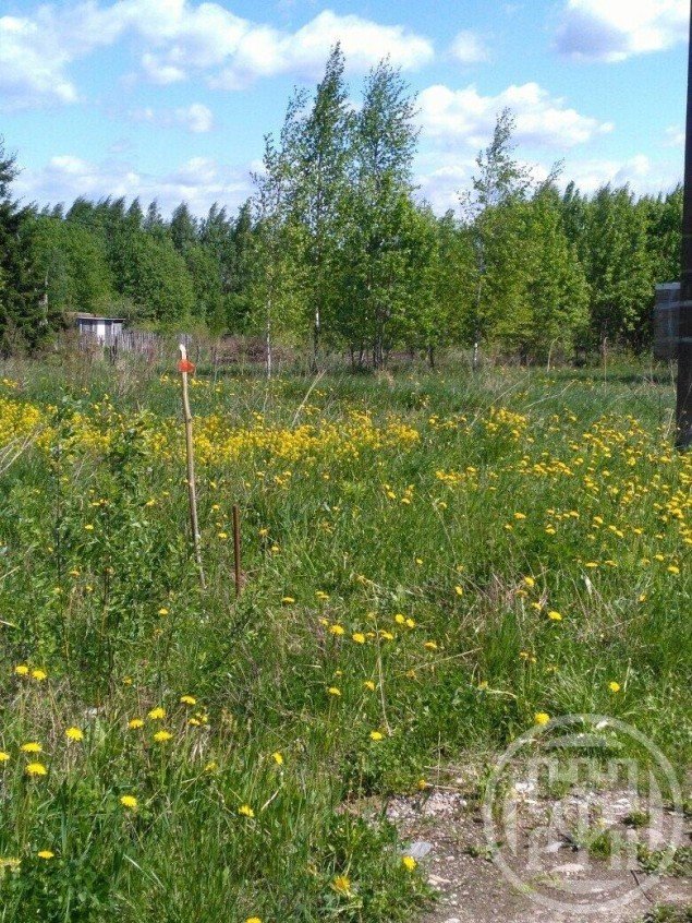 Продажа земельного участка Сырец, 66