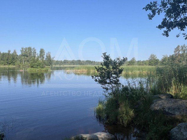 Продажа земельного участка Беличье, Александровская