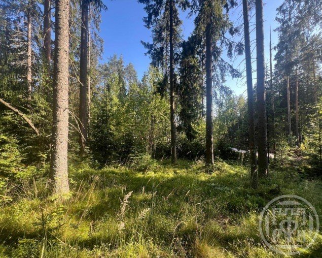 Продажа земельного участка Сертолово, 1004