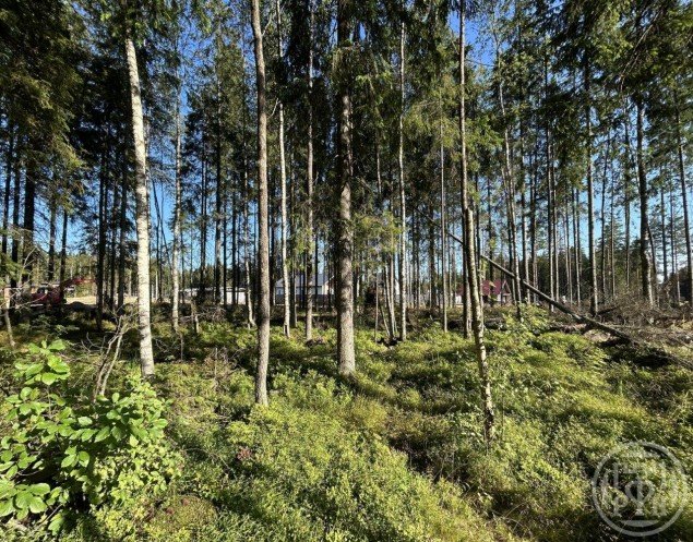 Продажа земельного участка Сертолово, 888