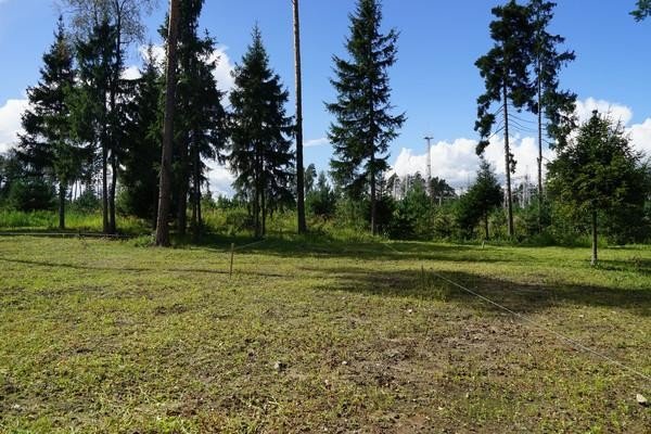 Продажа земельного участка Балашиха, Восход