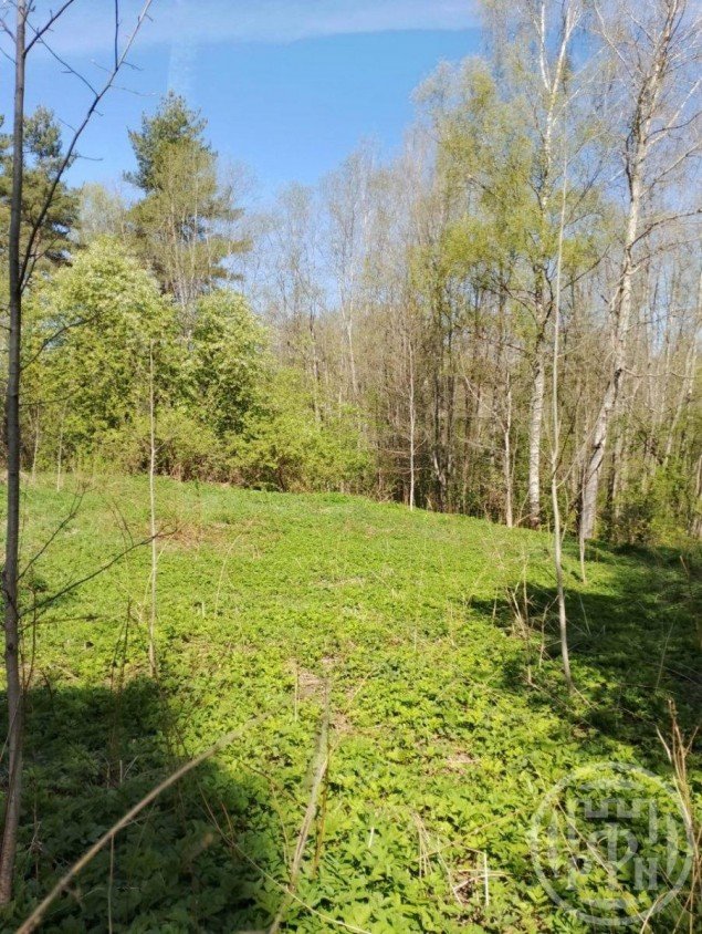 Продажа земельного участка Колодно, 6