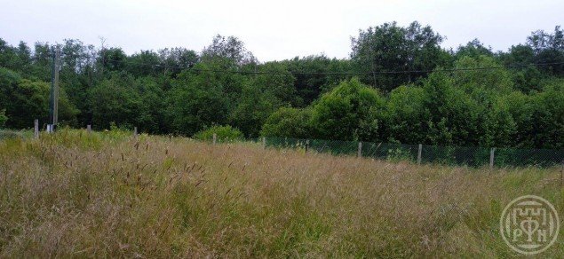 Продажа земельного участка Гостилицы, 122