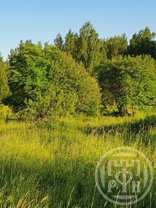 Продажа земельного участка Луговое