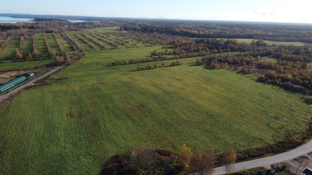 Продажа земельного массива Барышево