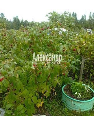 Продажа земельного участка Возрождение