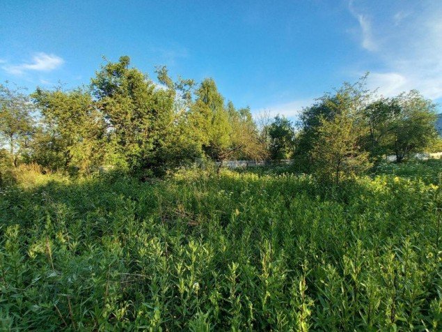 Продажа земельного участка Становое