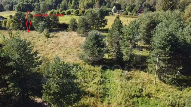 Продажа земельного участка Васильево