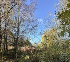 Грузино, Дружба, к.нт