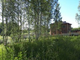 Колтуши, Воейковское