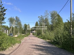 Парголово, Ленинградская