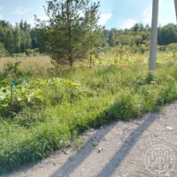 Домкино