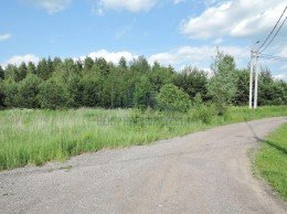 Павловский Посад, Носырево, Цветочная