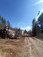 Ильичёвская, Новопетровская