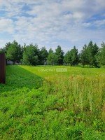 Павловский Посад, Козлово, Сосновый бор