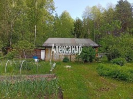Березняк