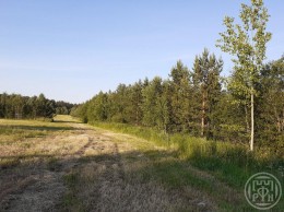Правдино