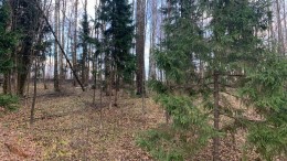 Истра