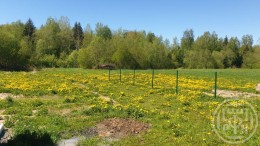 Кирково, 3