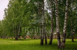 Солослово