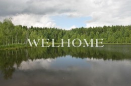 Истра, Степаньково