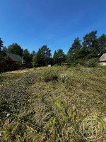 Белоостров, Поляна