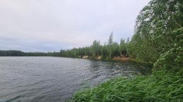 Сосновый Бор