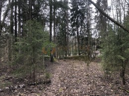 Смолячково