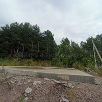 Выборг, Добровольцев
