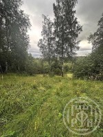 Старая Пустошь