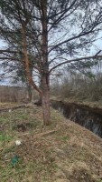 Лебяжье, Мира