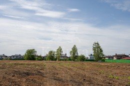 Красногорск, Тимошкино