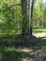 Островенка, УСЭЛЛО, 6