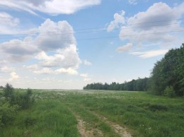 Лампово