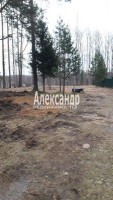 Моторное п ДПК Пригородное