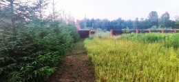 Электрогорск, Советская