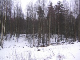 Васильево