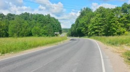 Вильповицы