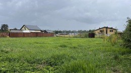 38 км Выборгского шоссе, Белоостров фабрики им. Желябова