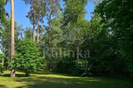 Красногорск, Архангельское