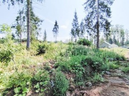 Наро-Фоминск, Покровка, Покровское