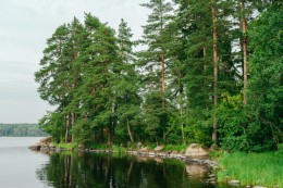 Торфопредприятие Выборгское