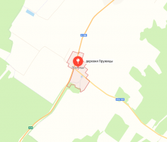 Пружицы
