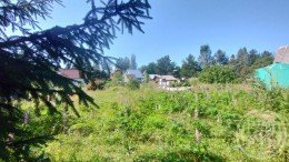 Лемболовская твердыня, Аист, 13-я, к.нт