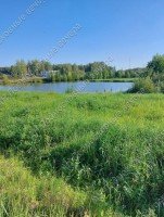 Дмитров, Редькино