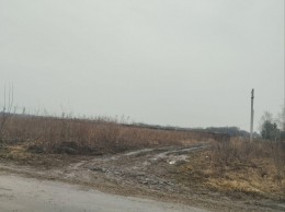 Павловский Посад, Грибовская