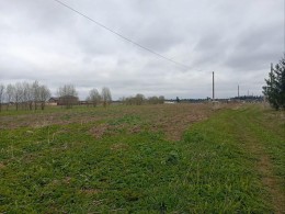 Клопицы